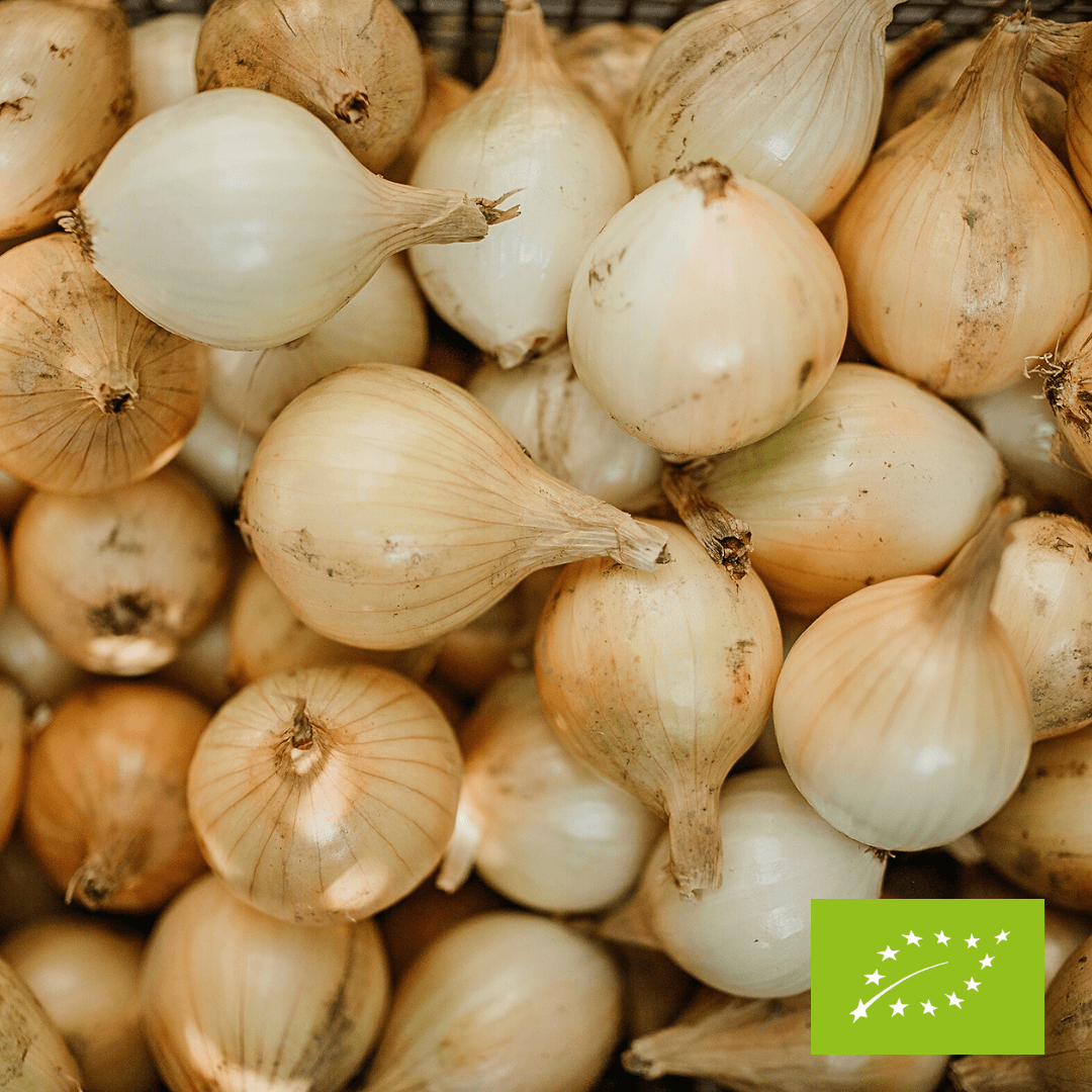 Cebula cukrowa EKO 500 g