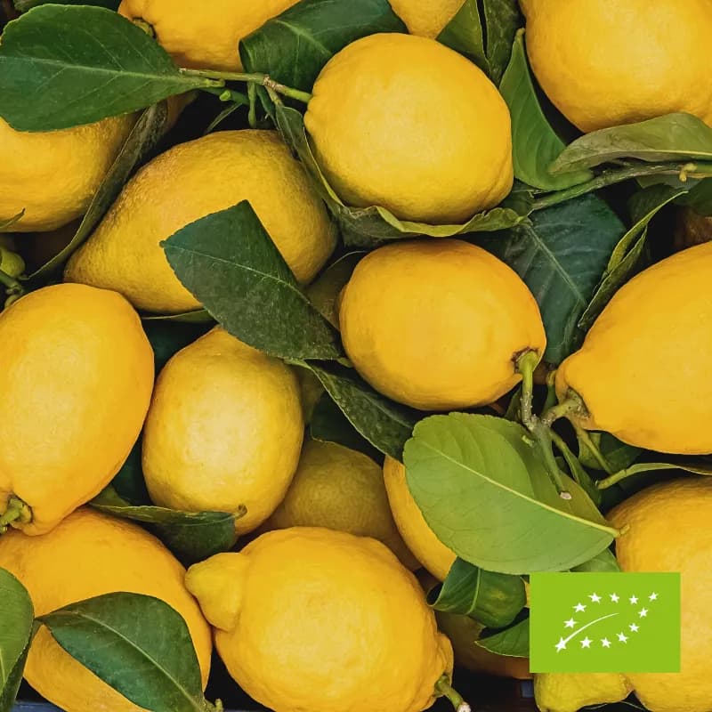 Cytryny EKO 500 g