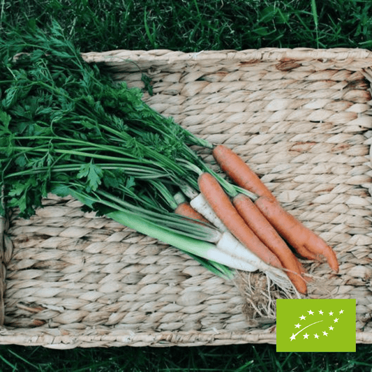 Włoszczyzna klasyczna EKO 3 pęczki