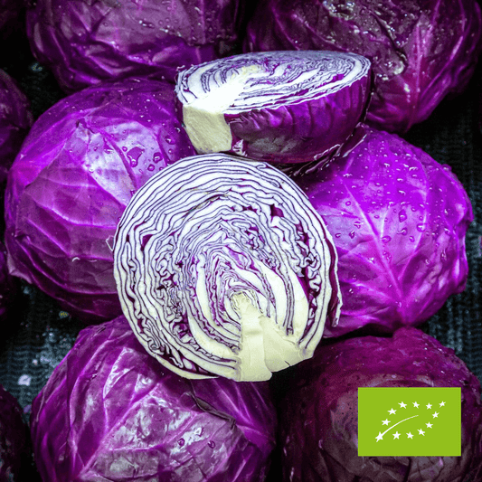 Kapusta czerwona EKO 1 szt.