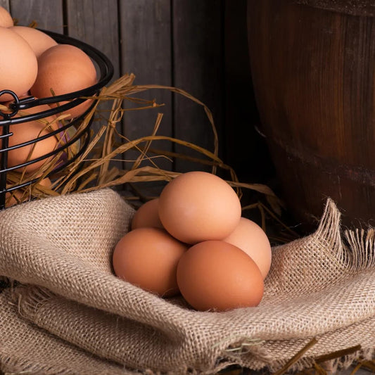 Jaja tradycyjne z chowu na wolnym wybiegu klasa wagowa L 6 szt.