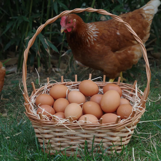 Jaja tradycyjne z chowu na wolnym wybiegu klasa wagowa L 30 szt.