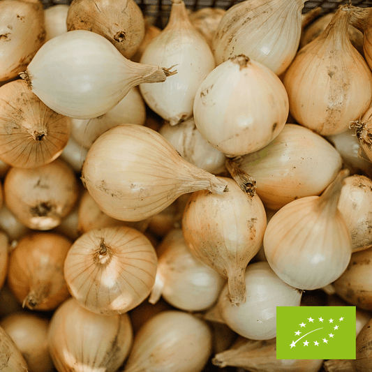 Cebula cukrowa EKO 1 kg