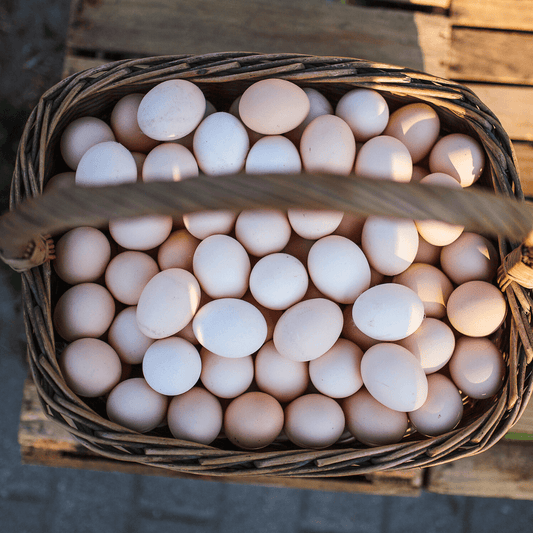 Jaja wiejskie wolny wybieg Chrapoń 30 szt.