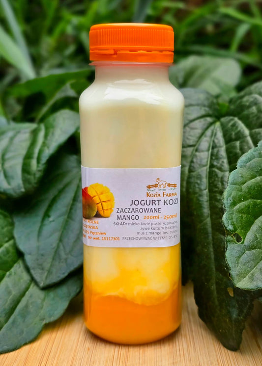 Jogurt kozi Zaczarowane Mango 250 ml