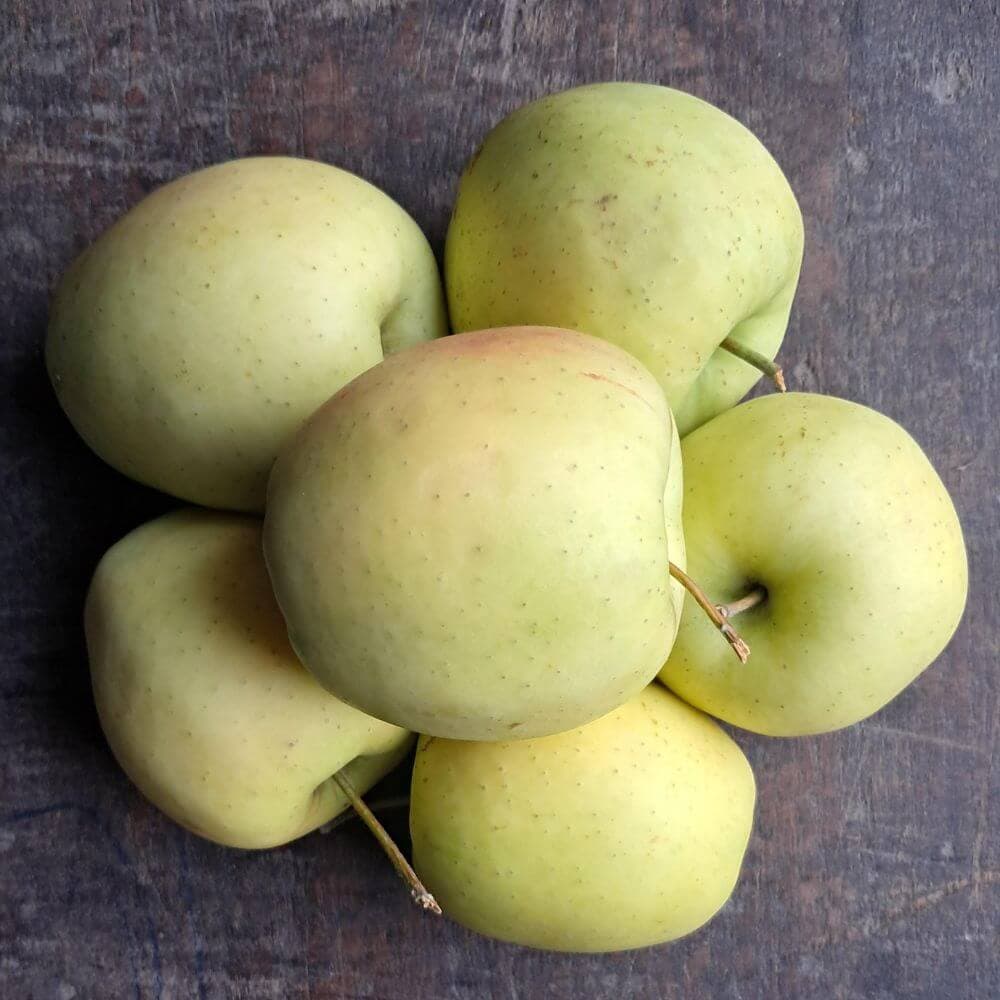 Jabłka Golden EKO 2 kg