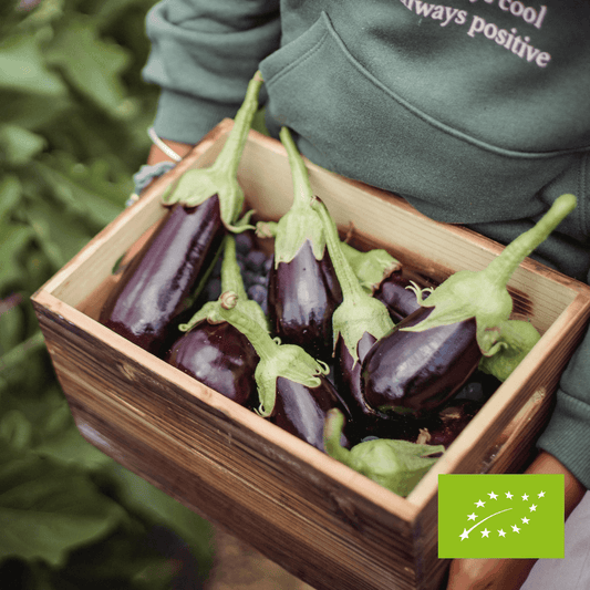 Bakłażan świeży EKO ok. 400 g